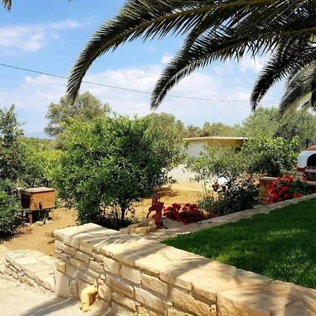 Aloni Home Πετροκεφάλι Εξωτερικό φωτογραφία