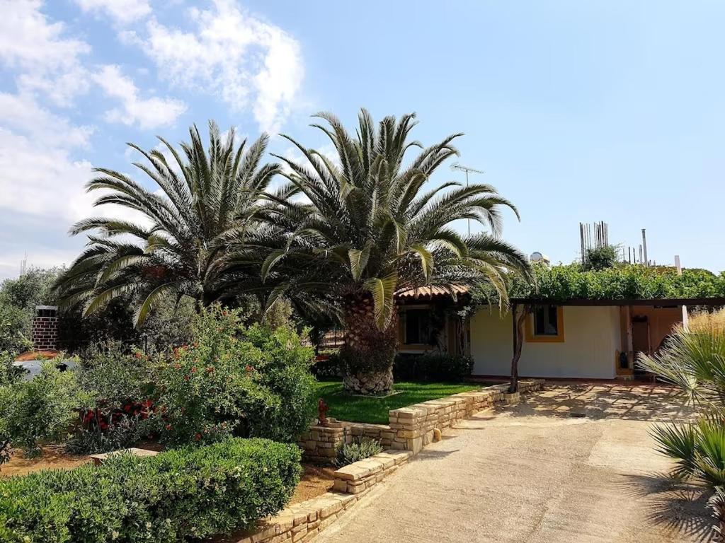 Aloni Home Πετροκεφάλι Εξωτερικό φωτογραφία