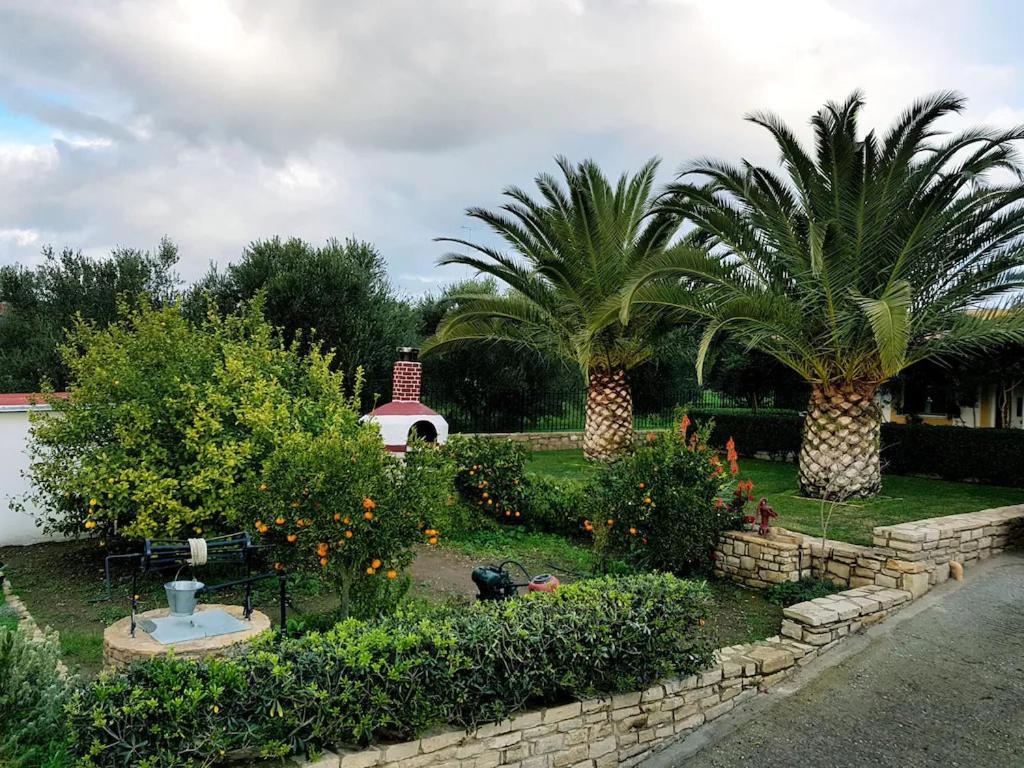Aloni Home Πετροκεφάλι Εξωτερικό φωτογραφία