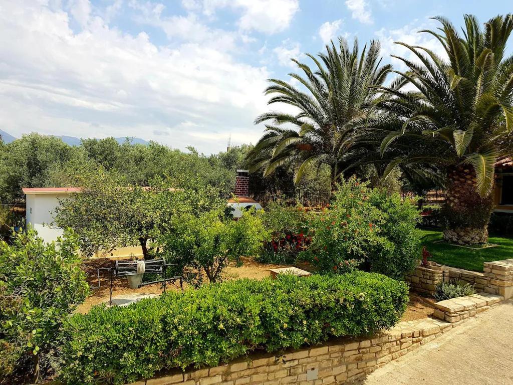 Aloni Home Πετροκεφάλι Εξωτερικό φωτογραφία